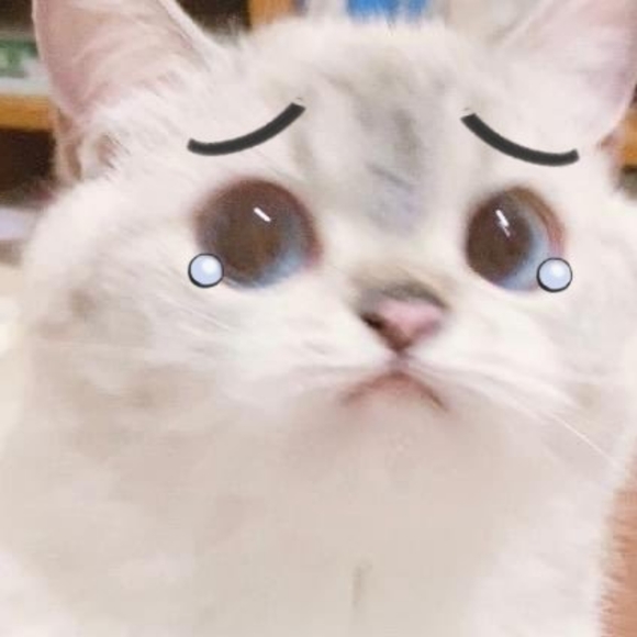 Meet your Posher, Emilie - Picture 1 of 1